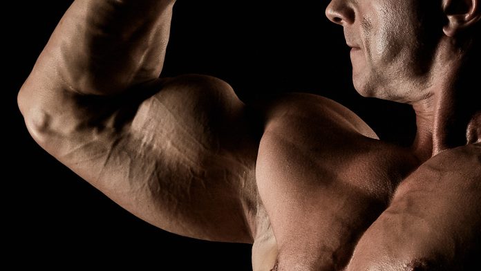 6 Little Known Facts For Building Bigger Arms
