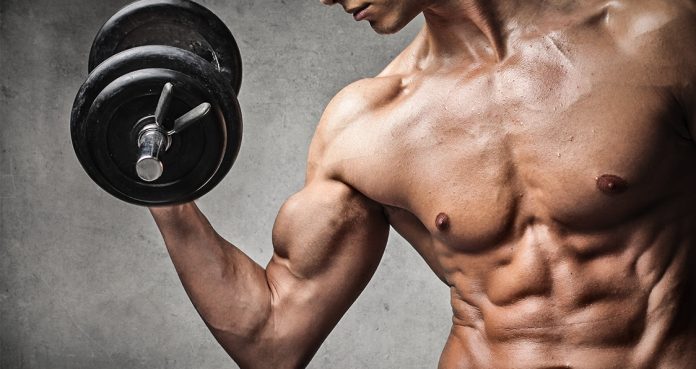 How To Gain Muscle Mass Quickly – A Guide On What To Eat And How To Train