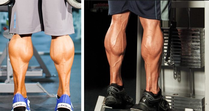 The Calf Building Secret No Pro Wants You To Know