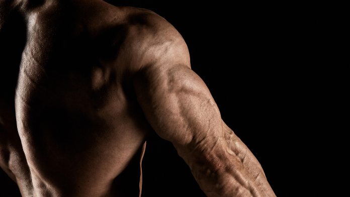 Have Non-Existent Triceps? Use These Horseshoe Building Tricks