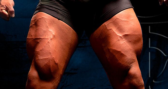 The 4 Effective Leg Building Exercises Which No One Does