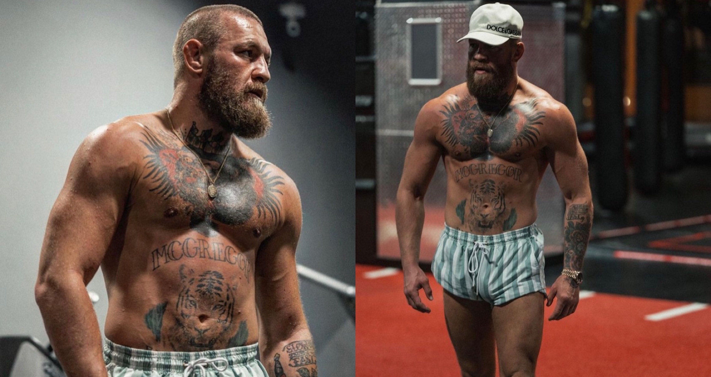 Conor McGregor Looks Shredded At 190 Pounds In Recent Photo