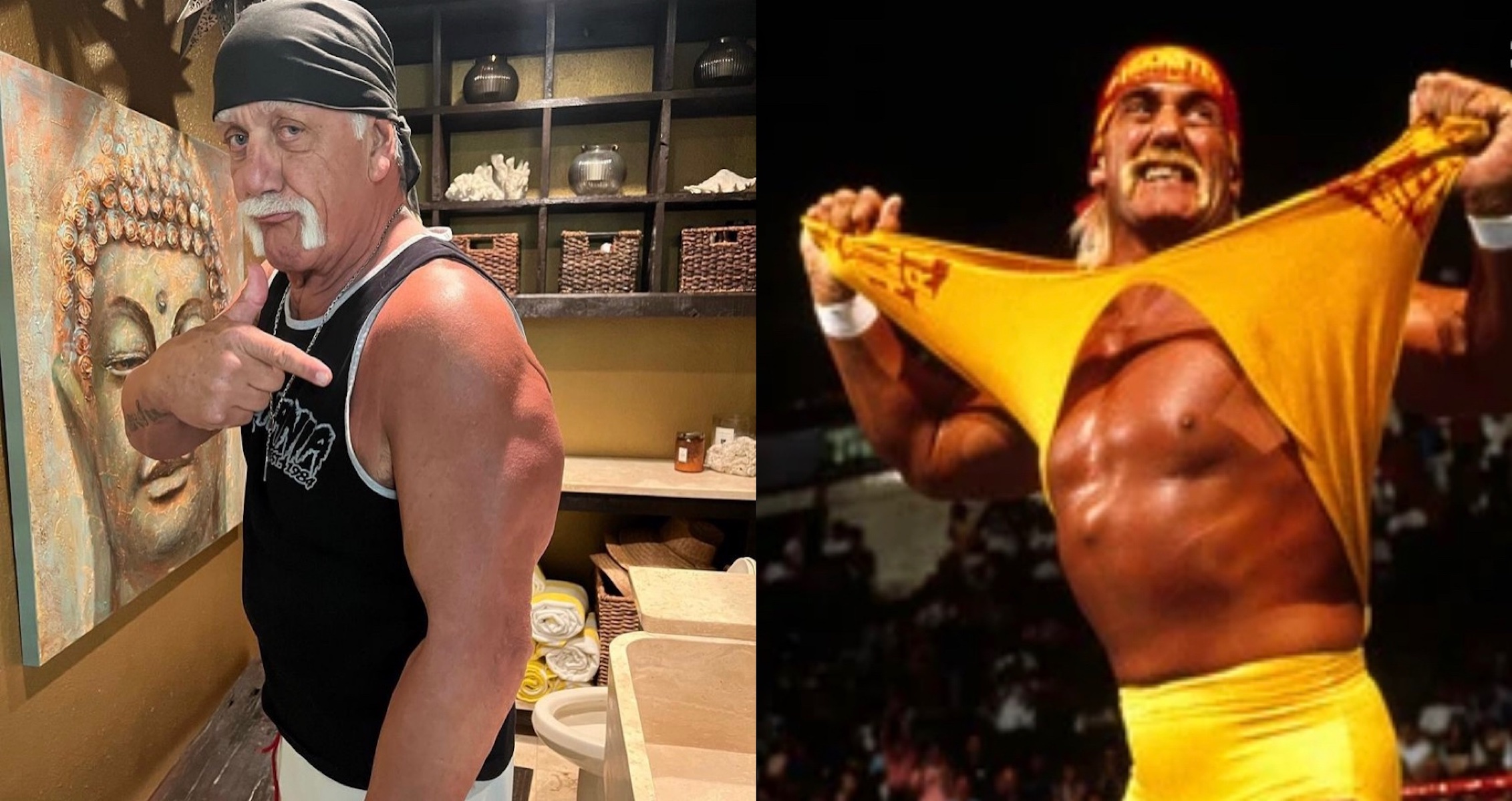 Hulk Hogan References Big Weight Loss In Recent Photo