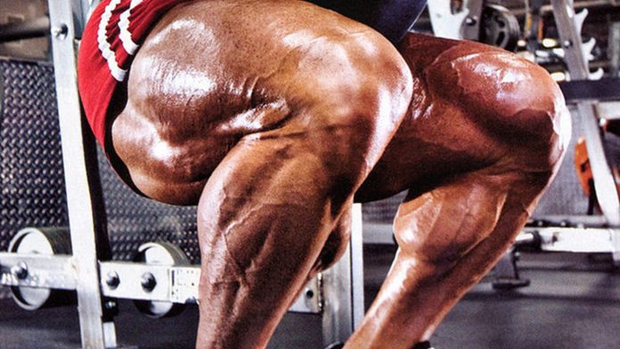 The Ultimate Pre-Exhaust Quad Workout for Strength & Size