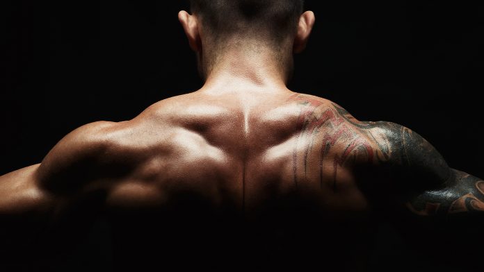 Build Traps Like Mountains with this Workout