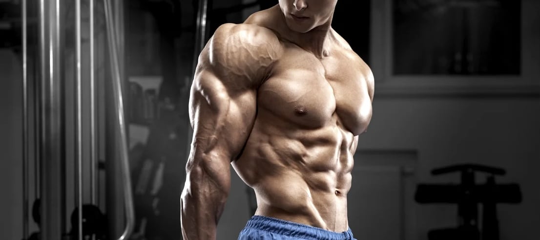 The Ultimate Cable Tricep Extension Guide – Benefits, Muscles Worked, and Variations