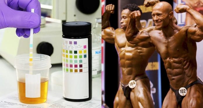 Bodybuilding WADA Testing Natural Bodybuilding WADA Testing