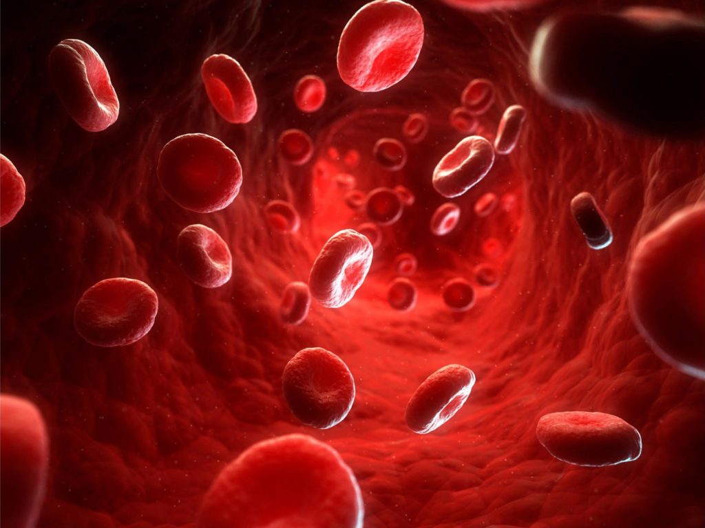 redd blood cells 1