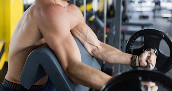 Top 10 Exercises For Increasing Bicep Size