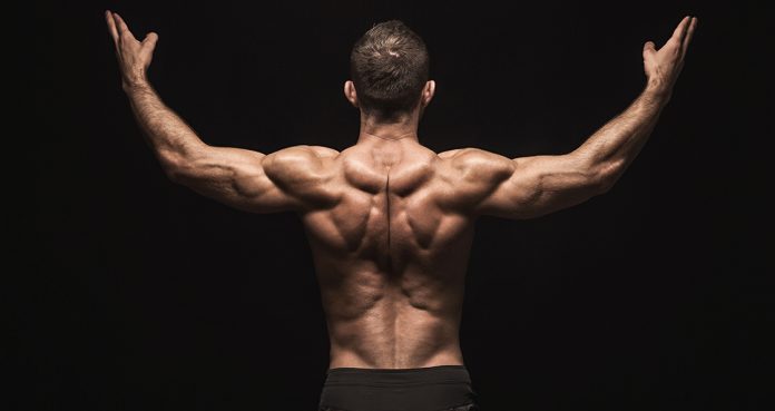 All-Time Best Back Exercises For the Perfect V-Taper