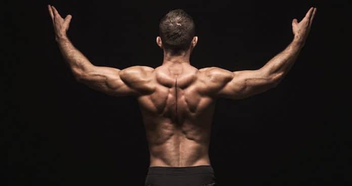 Top 4 Back Exercises To Protect Your Lower Back