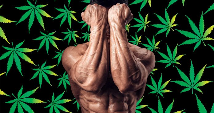How CBD Roll On Prevents and Aides Delayed Onset Muscle Soreness (DOMS)