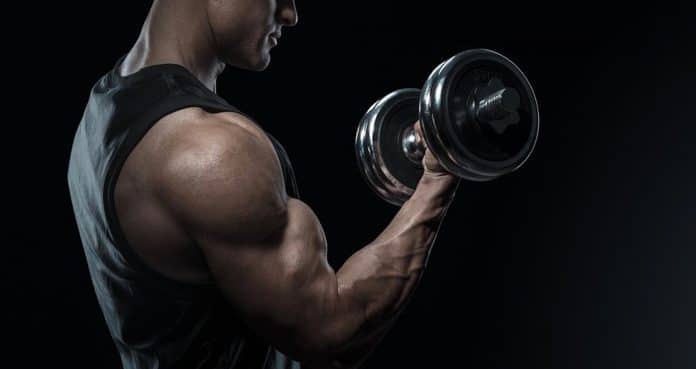 The 9 Best Biceps Exercises for Bulging Biceps