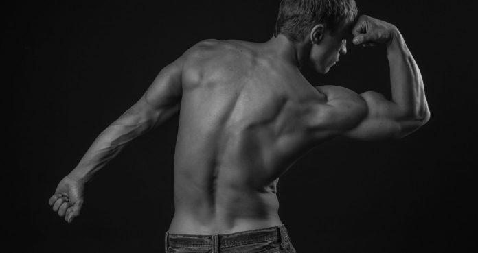 How The Back Extension Machine Can Promote Great Growth