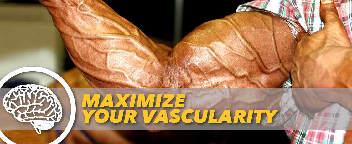 Maximize Your Vascularity