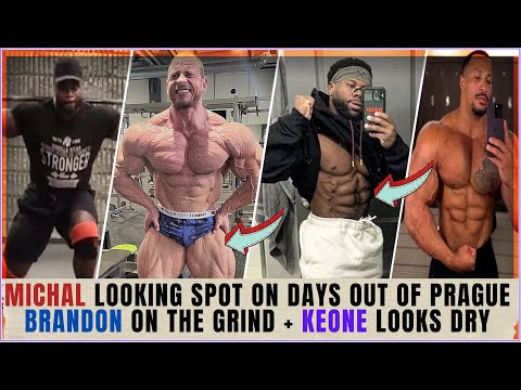 Michal Krizo looking on point +Will Keone bring the conditioning ?Brandon on the grind +Erin +Enrico