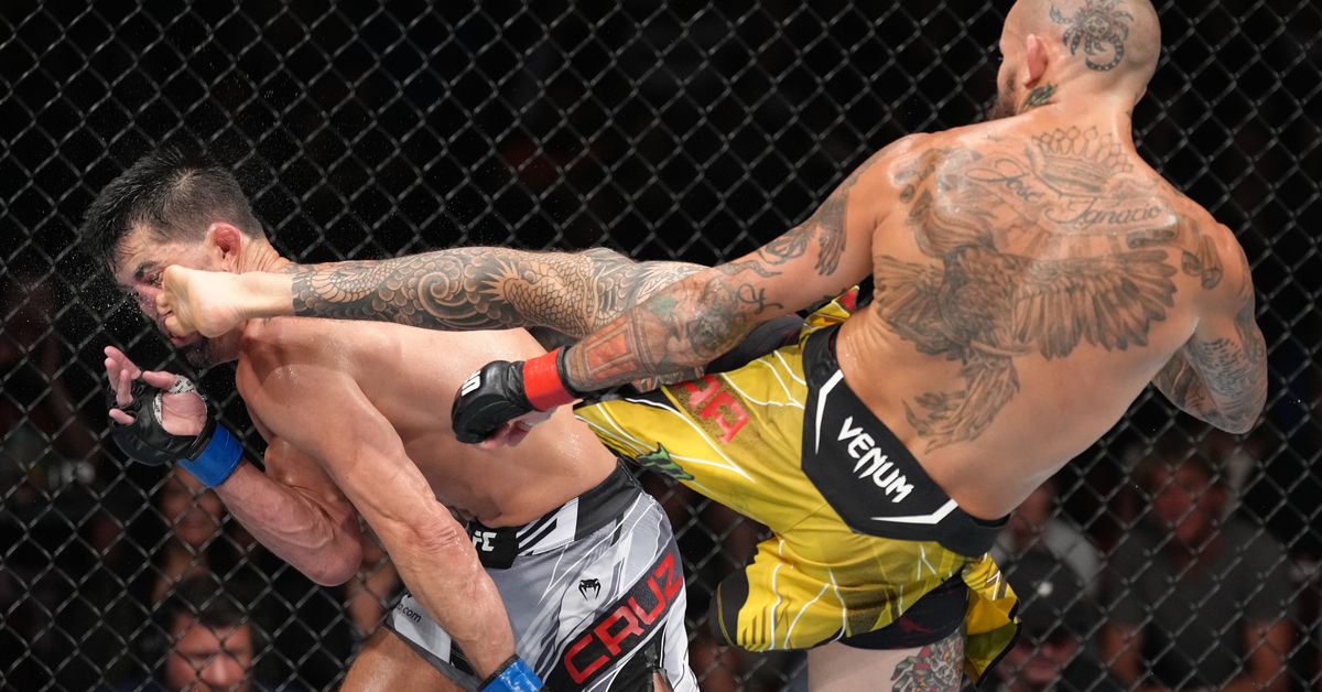 Free Fight: Vera Destroys Cruz With Laser-Like Kick