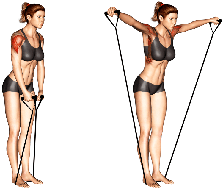 Band-Lateral-Raise-Muscles-Worked-750x635-1.png