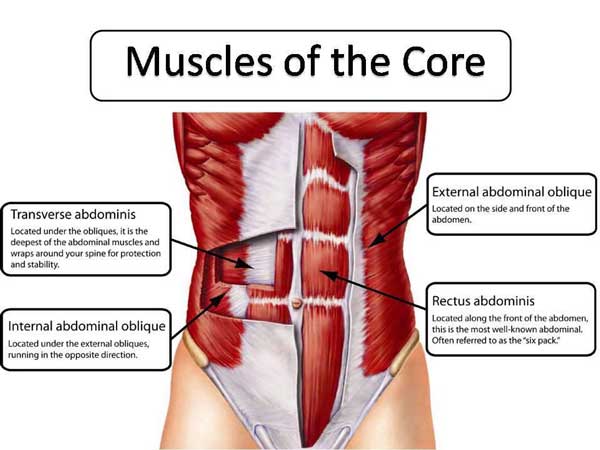 The Best Anti-Core Exercises for Increased Lumbar Stability