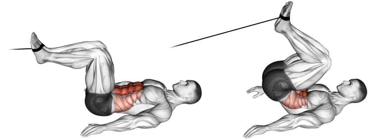 Cable Reverse Crunch: Muscles Worked, How-To, Benefits, and Variations