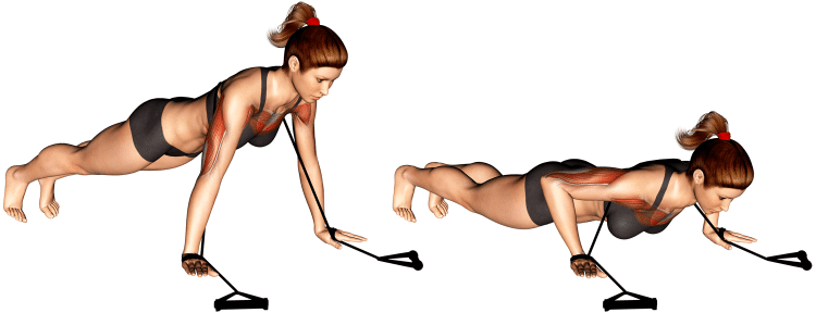 Muscles-Worked-During-Band-Push-Ups-750x288-1.png