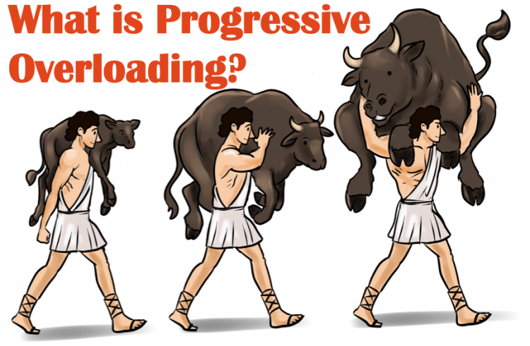 Progressive Overload: The Science Behind Maximizing Muscle Growth