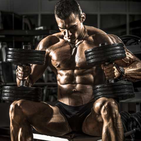 power bodybuilding program