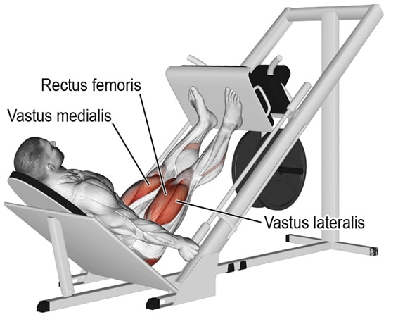 Leg Press Variations for Powerful Quadriceps