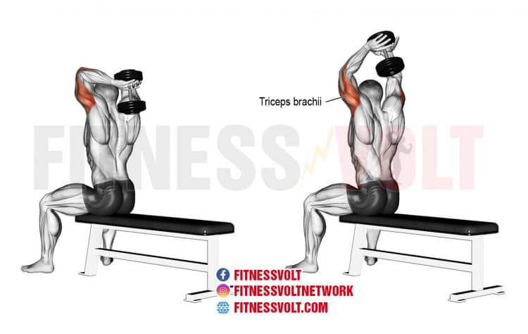 Shoulder Pain When Doing Overhead Triceps Extensions? Possible Causes and Solutions