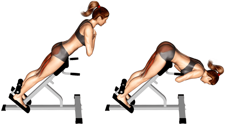 45-Degree Hyperextension Guide: Muscles Worked, How-To, Benefits, and Variations