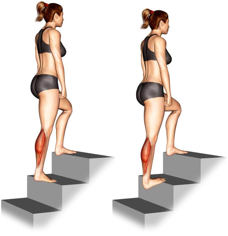 Calves-Stretch-Muscles-Worked-750x775-1.jpg