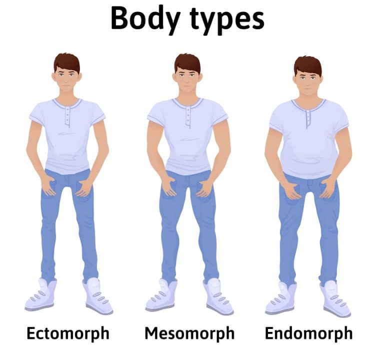 The Ultimate Guide to Male Body Types (Ectomorphs, Mesomorphs, and Endomorphs)