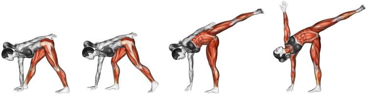 Ardha Chandrasana Muscles Worked