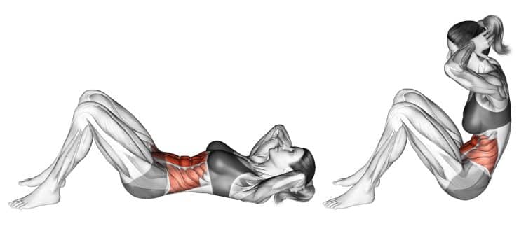 Muscles-Worked-During-Sit-Up-750x323-1.jpg