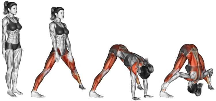 Wide Legged Forward Bend Prasarita Padottanasana – Muscles Worked, Benefits, Common Mistakes, and Variations