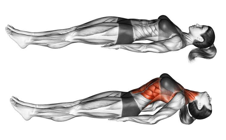 How to Do Fish Pose (Matsyasana): Muscles Worked, How-To, Benefits, and Variations