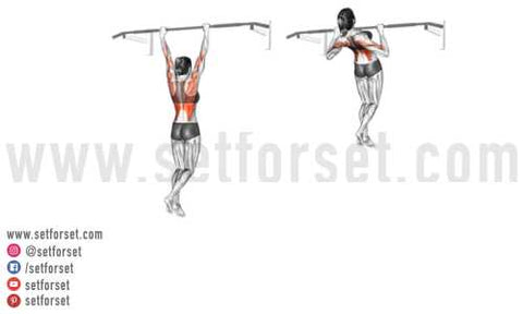 different_pull_ups_480x480-2.jpg