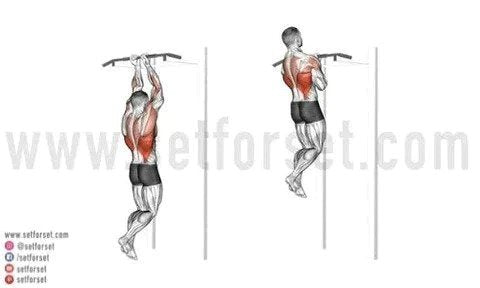 easier_pull_up_variations_480x480-2.jpg