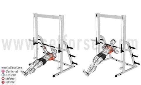 pull_up_variations_for_back_480x480.jpg