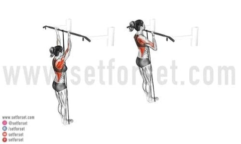 pullup_variations_480x480-2.jpg