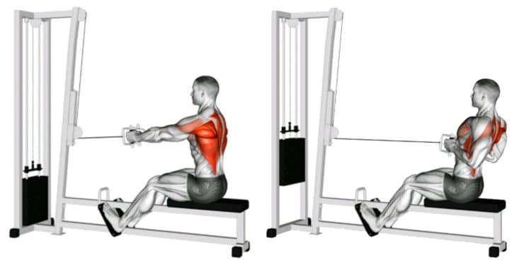 Cable Close Grip Seated Row Guide: Muscles Worked, How-To, Benefits, and Alternatives