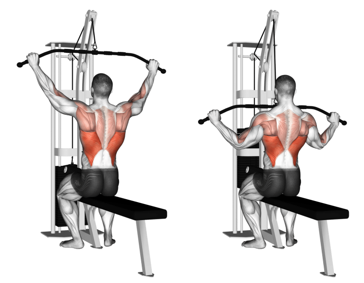 Lat Pulldown Guide: Muscles Worked, How-To, Benefits, and Different Grips  