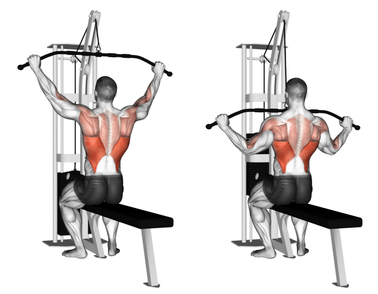 lat-pulldown-750x584-1.png