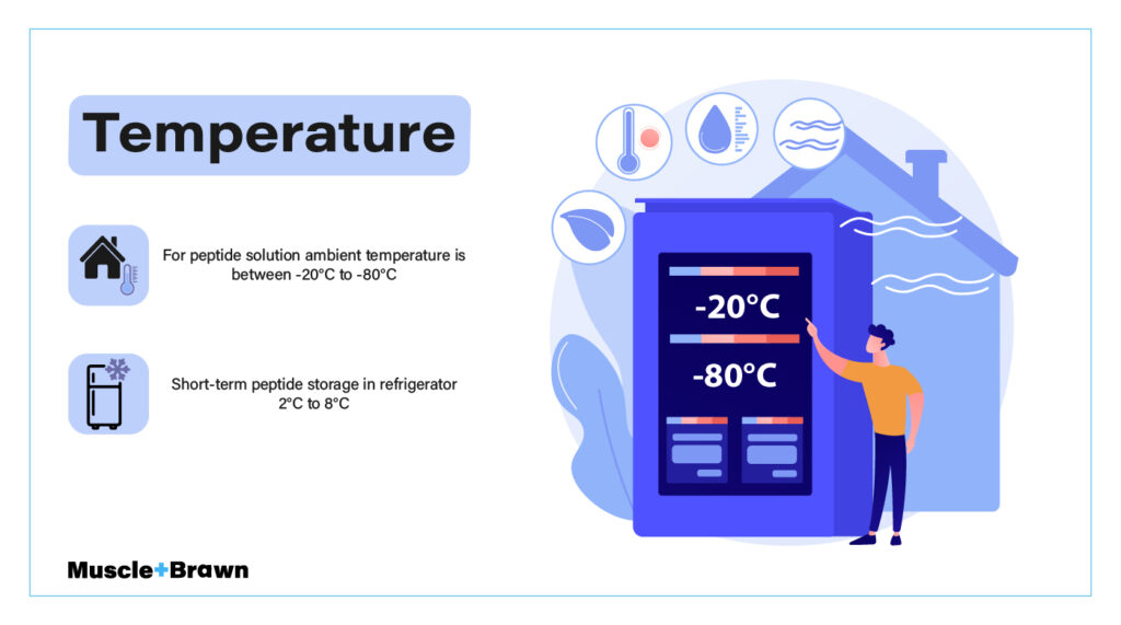 How To Store Peptides - Powder, Liquid, Nasal 2 How To Store Peptides - Powder, Liquid, Nasal