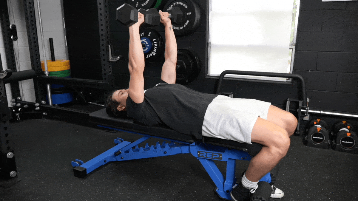 dumbbell-bench-press-barbend-movement-gif-masters.gif