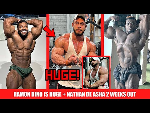 Ramon Dino Looks HUGE + Nathan Vs Blessing 2 Weeks Out + More Master’s Olympia Updates