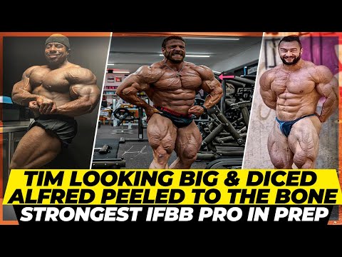 Strongest bodybuilder starts prep with Milos + Tim looking big & peeled + Alfred ready for 2023