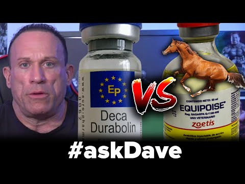 DECA vs. EQUIPOISE: Better MASS Builder? #askDave