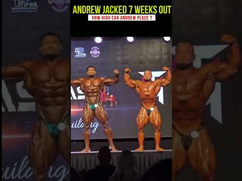 CAN ANDREW JACKED CRACK TOP 4 AT THIS OLYMPIA 2023 ? #shorts #bodybuilding #fitness
