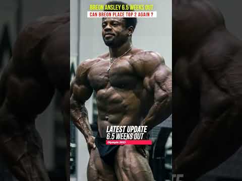 Can Breon Ansley place top 2 again in classic ? #bodybuilding #shorts #mrolympia